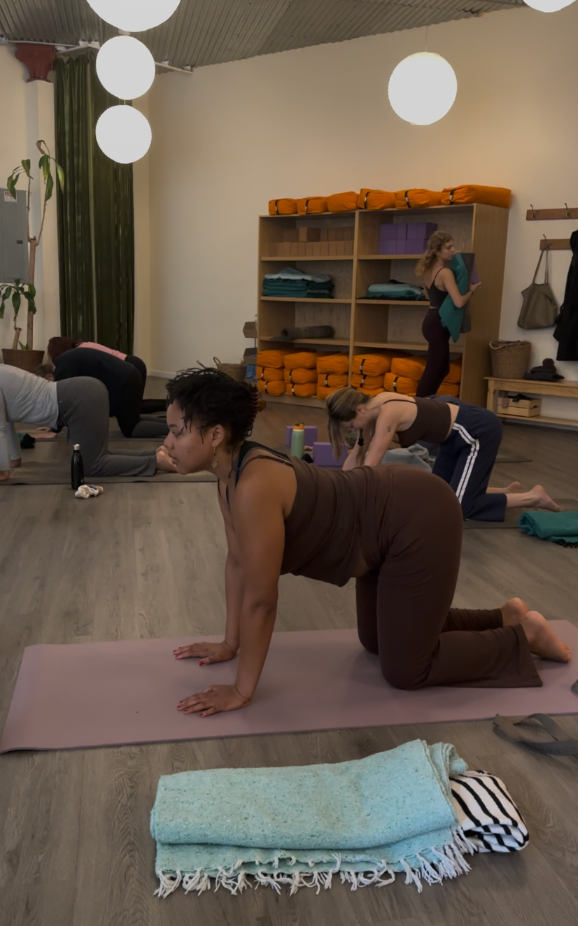 Captura de pantalla 2026 03 13 a la(s) 11.18.28 a.m.